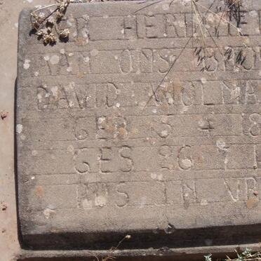 WOLMARANS David 1898-1960