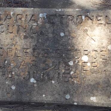 YOUNG Maria Petronella