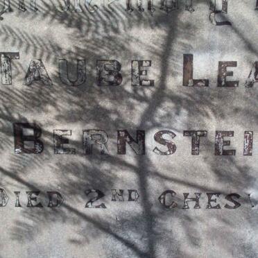 BERNSTEIN Taube Leah  ?