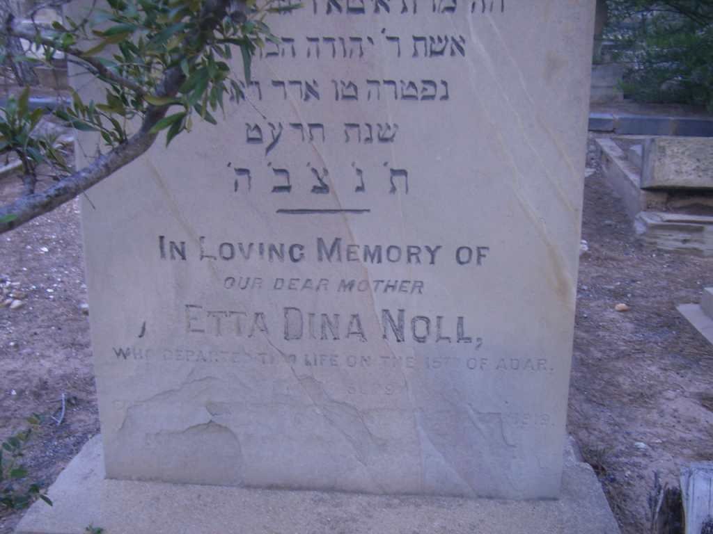 NOLL Etta Dina