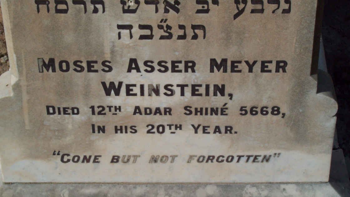 WEINSTEIN Moses Asser Meyer  -5668