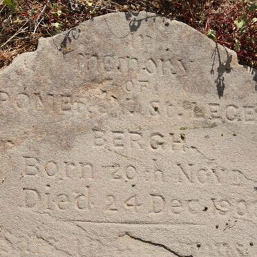 BERGH Pomers St. Leger -1900