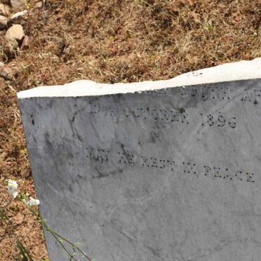 LITTLEJOHNS Edward Smith 1858-1896 