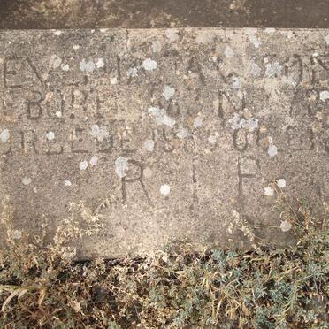 DAWSON Jeve?ia 1872-19?