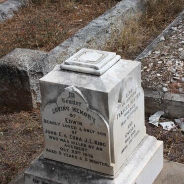 KING Edwin -1916 :: KING Francis -1900 :: KING Gwella -1903