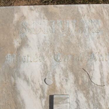 SCHULTZ Michele Carol Linde