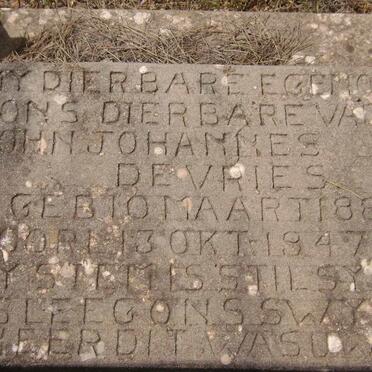 VRIES John Johannes, de 1884-1947