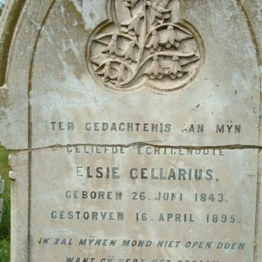 C - Surnames :: Vanne - C