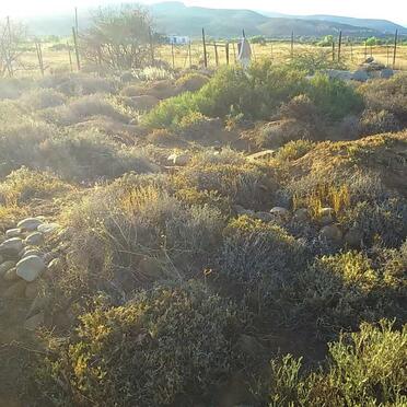 2. Overview / Oorsig