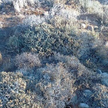 3. Overview / Oorsig