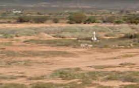 1. Overview / Oorsig