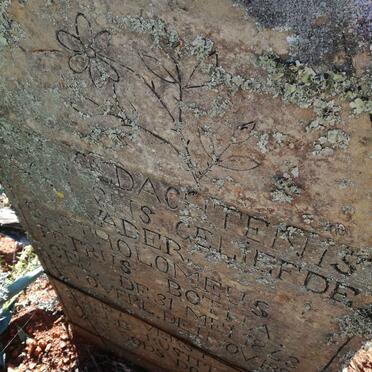 BOTHA Bartholomeus Petrus 1863-1896