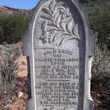 PLESSIS Jacobus J.P., du 1908-1935