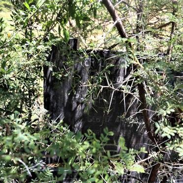 BOTHA Philippus Rudolph 1865-1948