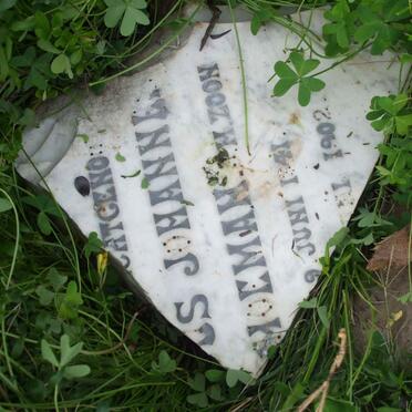 SCHOEMAN Jacobus Johannes 1841-1902