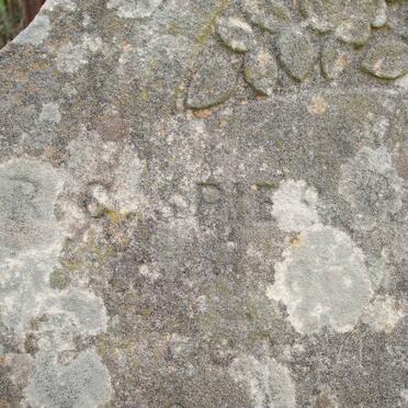 SPIES R. C. nee SCHOEMAN 1839-1889