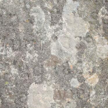 SPIES R. C. nee SCHOEMAN 1839-1889