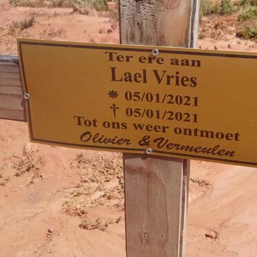 VRIES Lael 2021-2021