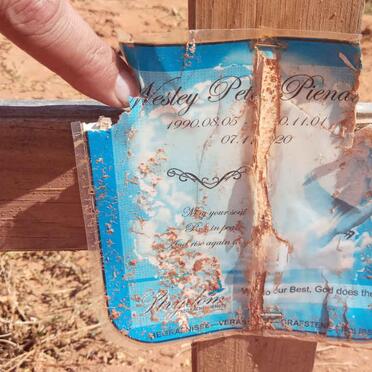 PIENAAR Wesley Peter 1990-2020