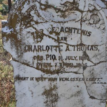 THOMAS Charlotte A. 1884-1906