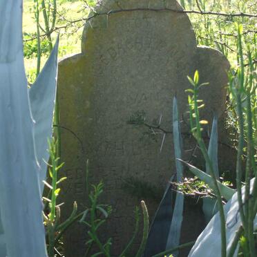 ROUX W.H., le 1864-1918