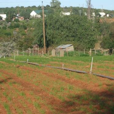 Western Cape, OUDTSHOORN district, Schoemanshoek, Roodewal 47, farm cemetery_2