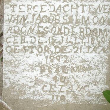 ADONES Jacob Salmon 1849-1892