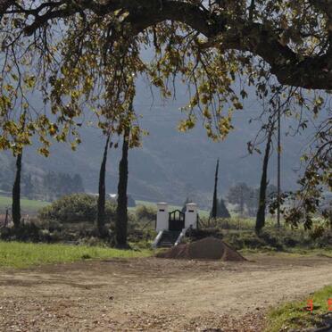 1. From a distance