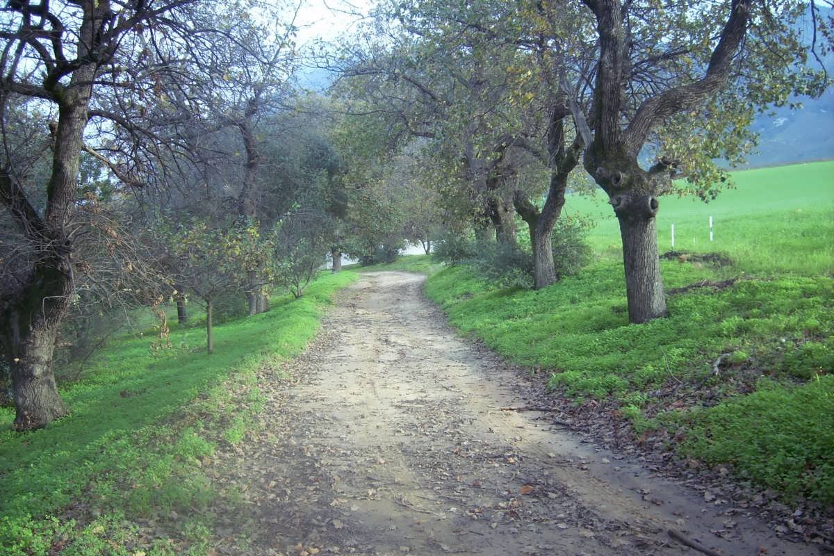 1. Road to cemetery