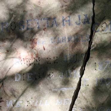 JACOBS Rosetta H. 1874-1900