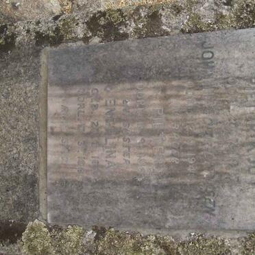 KOOY Pieter -19?7 &amp; Johanna DERKSEN -1949 :: KOOY Pieter -196? :: KOOY Engelina ?-196?