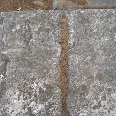 MALAN J.J.P. 18?6-1939 &amp; A.M.S. 1856-1939