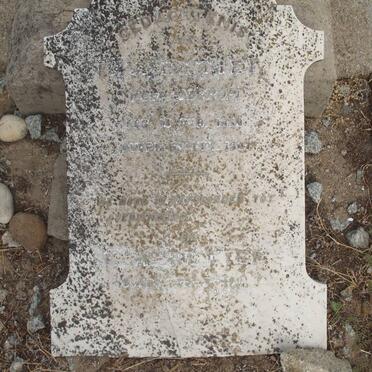 RETIEF F.H. -1911 &amp; E.J. VAN NIEROP 1859-1907