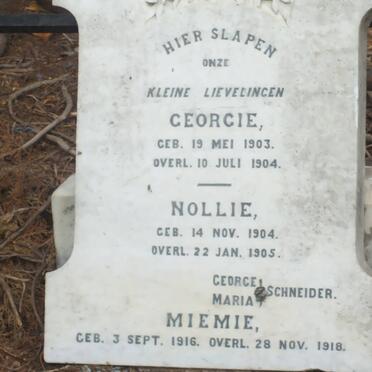 SCHNEIDER Georgie 1903-1904 :: SCHNEIDER Nollie 1904-1905 :: SCHNEIDER Miemie 1916-1918