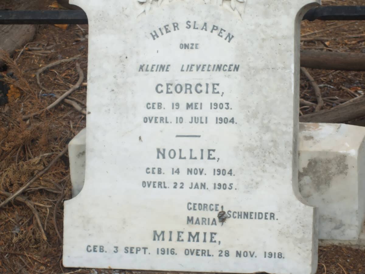 SCHNEIDER Georgie 1903-1904 :: SCHNEIDER Nollie 1904-1905 :: SCHNEIDER Miemie 1916-1918