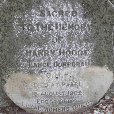 HODGE Harry -1902