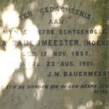 BAUERMEESTER M.A. nee HOGKINS 1850-1901