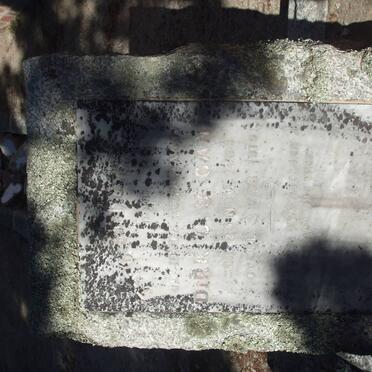 CANT Dirk C.U. 18?-1918