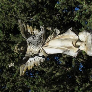 ENSLIN Hercules George 1861-1913 &amp; Margaretha J.M. CILLIE 1867-1917