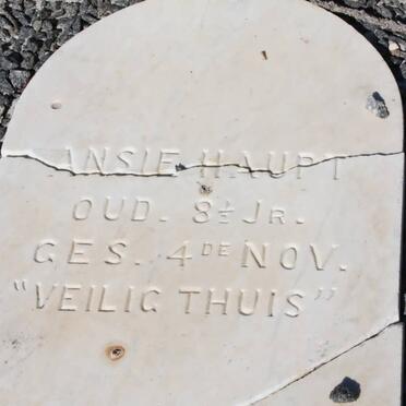 HAUPT Ansie