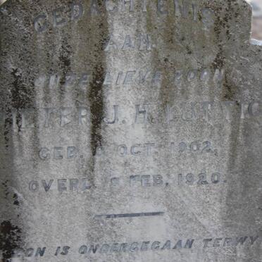 LUTTIG Pieter J.H. 1902-1920