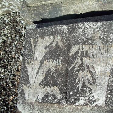 MARAIS Lizzie 1862-1939