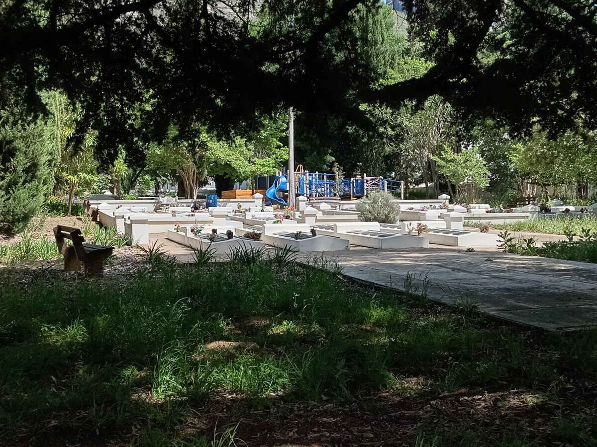 1. Oorsig / Overview