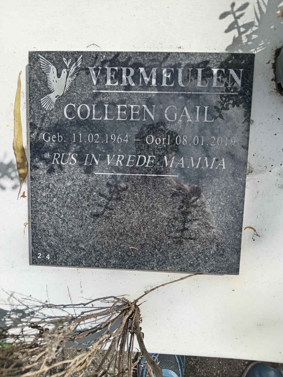 VERMEULEN Colleen Gail 1964-2019