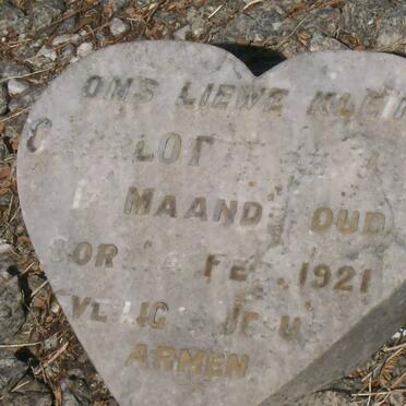 WESSELS Charlotte -1921