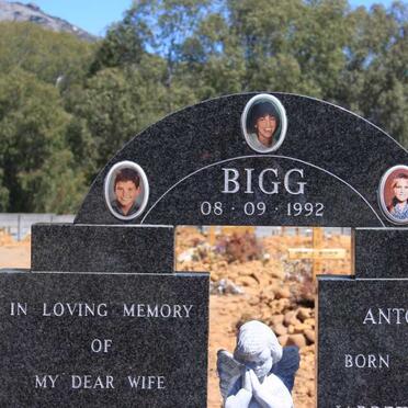 BIGG