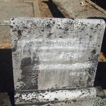 BURMEISTER D.J.J. 1884-1961