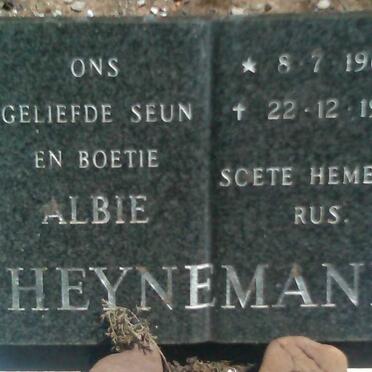 HEYNEMANN Albie 1966-1974