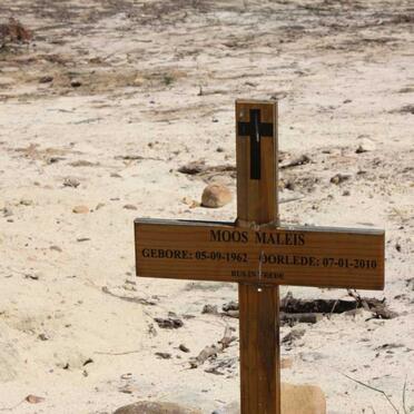 MALEIS Moos 1962-2010