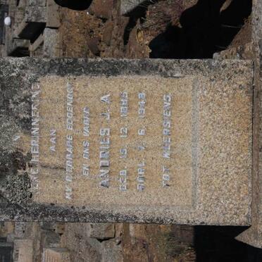 OLIVIER Andries J.A. 1885-1948